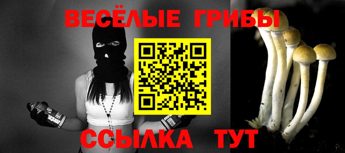 Рубцовск  Галлюциногенные грибы прущие грибы  купить закладку  Вход с VPN 